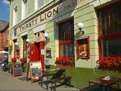 Фото: Mr. Martin&amp;#039;s Thirsty Lion